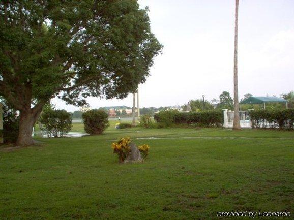Inn On The Green Florida Tavares Bekvämligheter bild